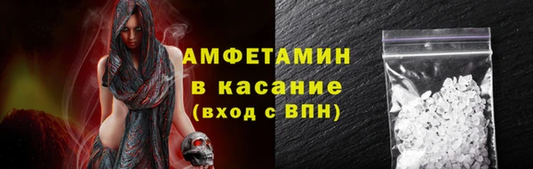 шишки Абаза