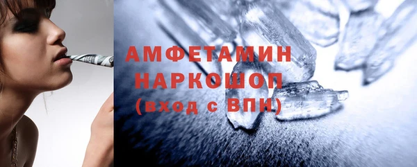 шишки Абаза