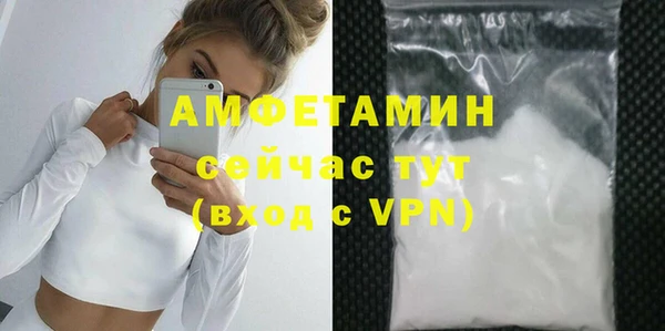 шишки Абаза