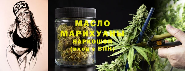 шишки Абаза