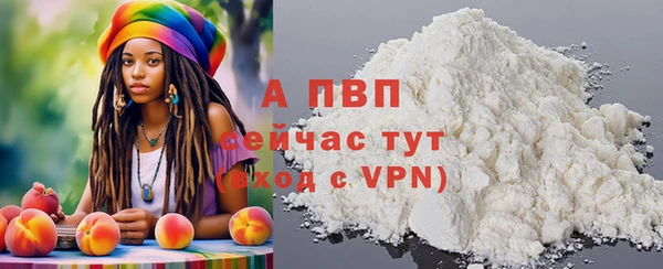 шишки Абаза