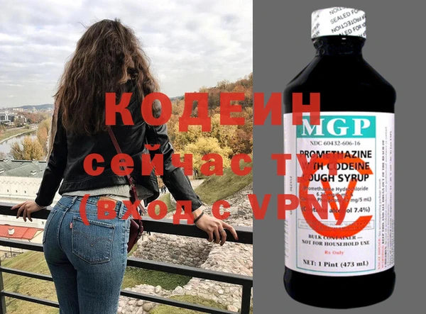 шишки Абаза