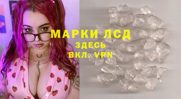шишки Абаза