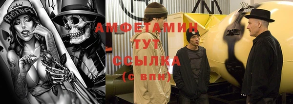 шишки Абаза