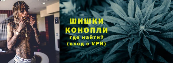 шишки Абаза