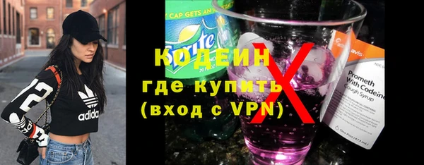 шишки Абаза