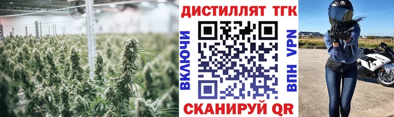 наркошоп  Аксай  Дистиллят ТГК концентрат 